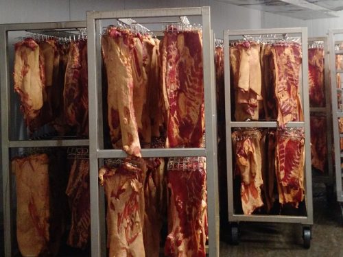 landing_page_image (3)